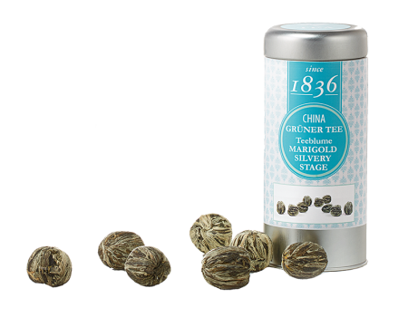 Ziedoša tēja Marigold Silvery Stage.