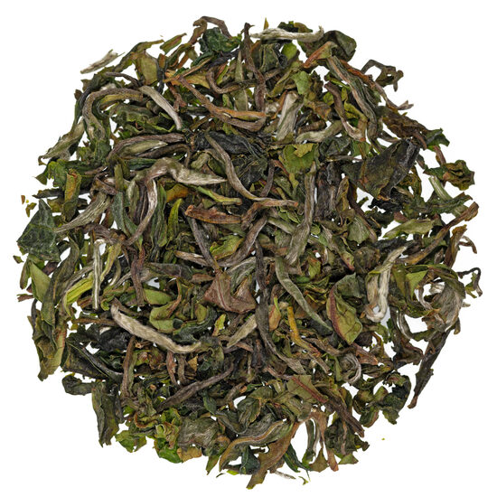 Darjeeling FTGFOP1 Gielle DJ6 2025