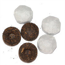 Pu erh Ripe Mini Tuo Cha G 1 year